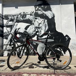 OUTROAD 790 Rad Bike For Sale 