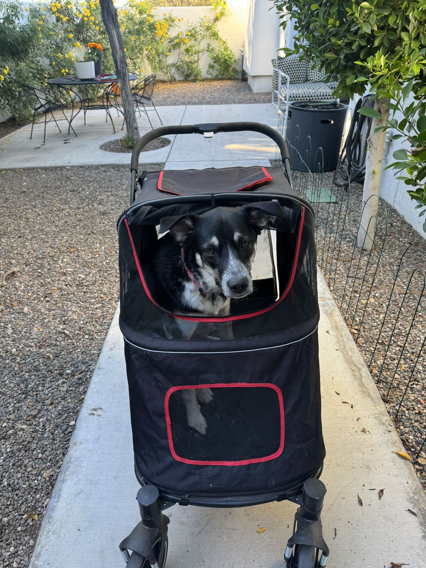 Pawhut Dog Stroller Large & Medium Dog