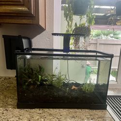 15 Gallon Tank Aquarium