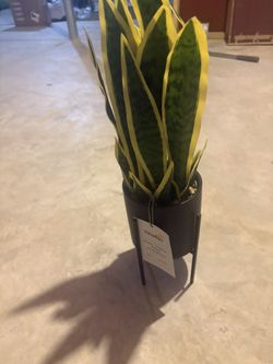 Smile, designer tree