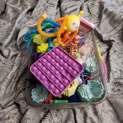 Box Of Fidget Toys