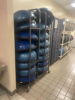 Bosu Balls BIG DISCOUNT! $475 set 