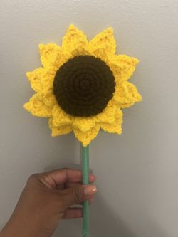Sun Flower