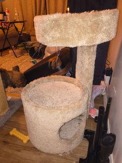 Cat tower