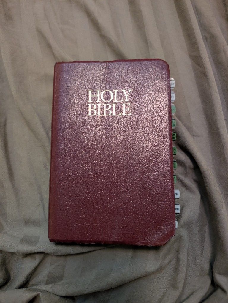 Holy Bible New International Version w/ Side Tabs