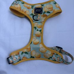 SassyWoof Dog Collar And Harness