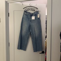 Anthropology Pistola 31” Jeans NWT