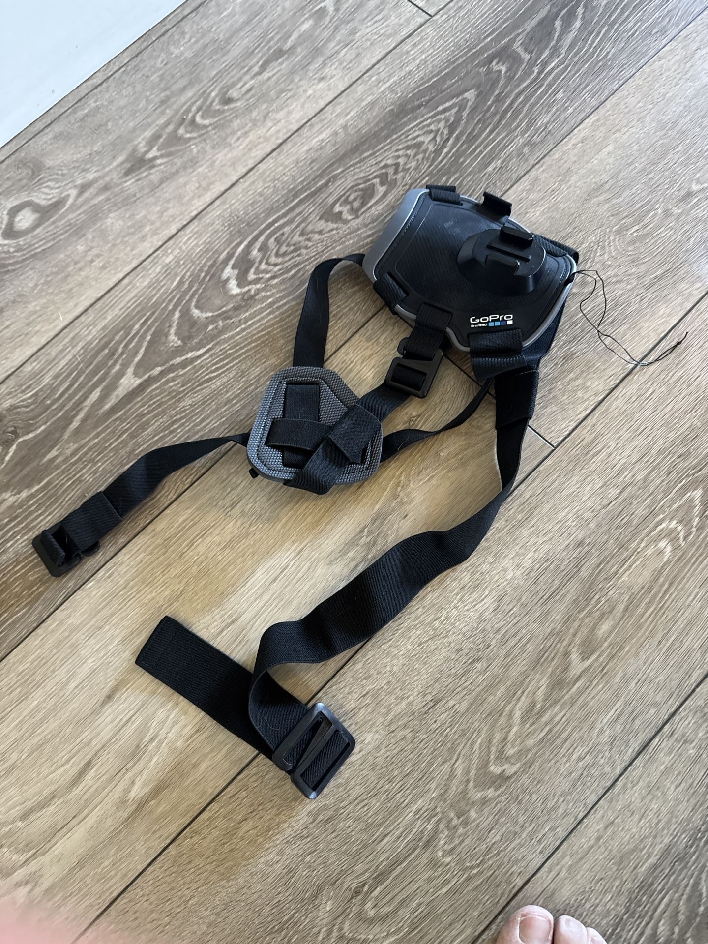 GoPro Fetch Dog Harness