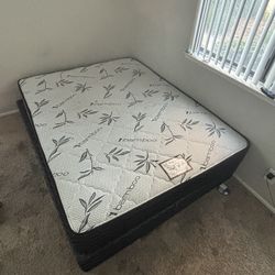 Queen Pillow Top Bed