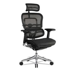 Eurotech Ergohuman Elite High-Back Chair, 18.1" to 21.6" Seat Height