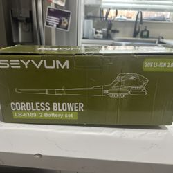 Leaf Blower Cordless 