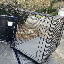 Large Medium Dog Kennel Crate Collapsible in Good Condition 36” L by W 22” H “24