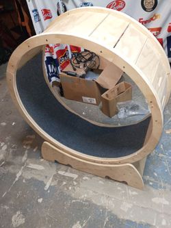 Cat wheel