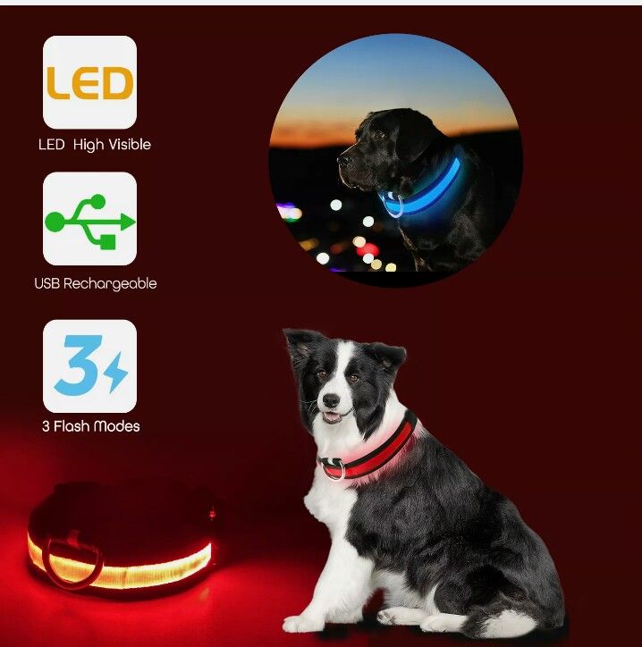 Rechargeable Large LED Dogs Safety Collar