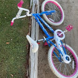 20 Inch Bike