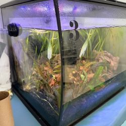 Fluval Black Flex Aquarium, 9 Gallon