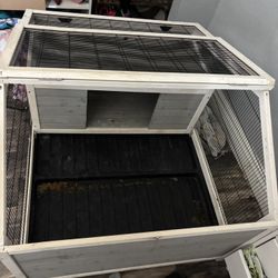 Bunny Or Animal House