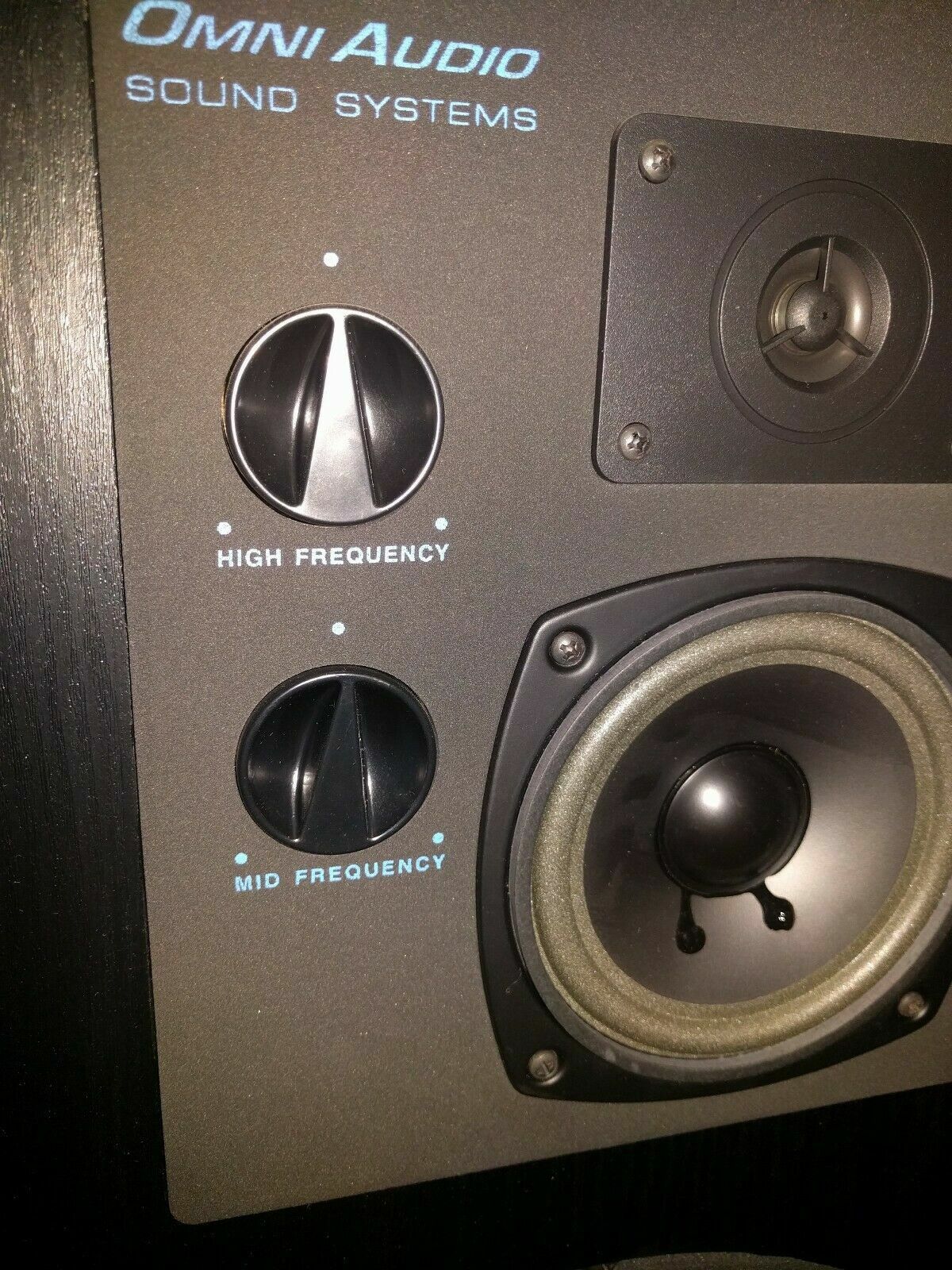 A Pair of 27" Omni 12.3 Stereo Speakers