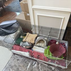 Guinea Pig Cage & Accessories