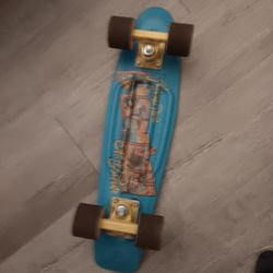 Used Penny Board