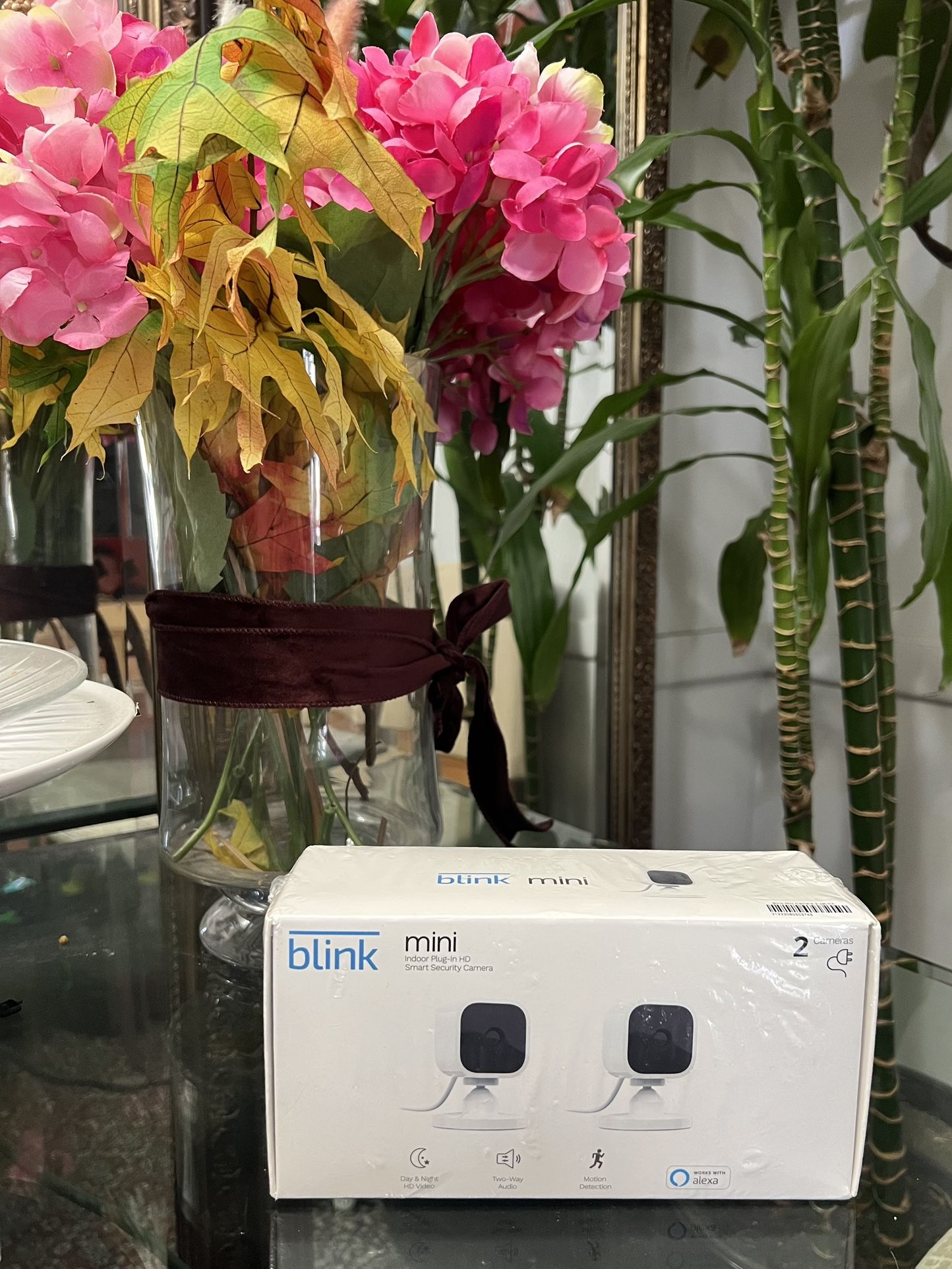 Blink Mini Smart Security Camera