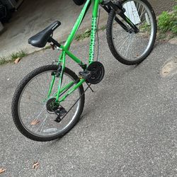 24 Inch Bike 