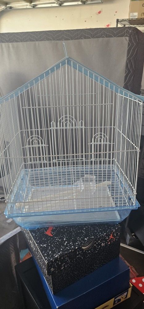 Bird Cage