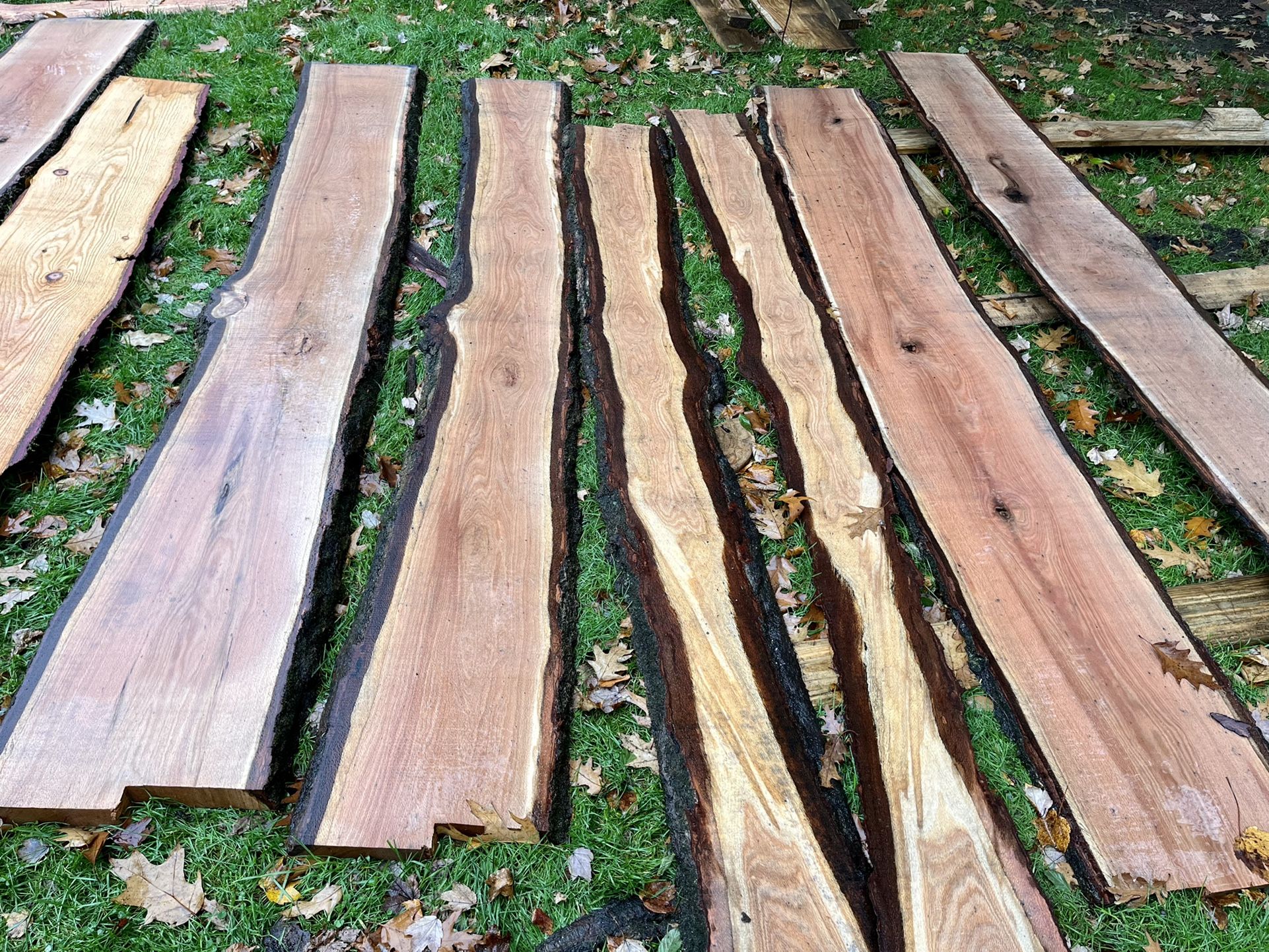 Live Edge