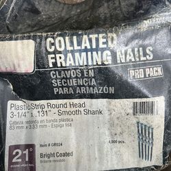 Framing Nails 3-1/4