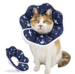 Soft Recovery Collar for Cats