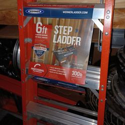 6ft Ladders