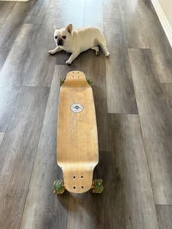 Shark Skateboard Cruiser