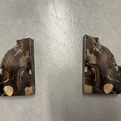 Petrified wood Bookends