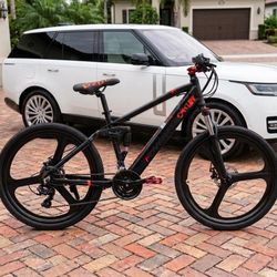  Custom Electric Bike  H1