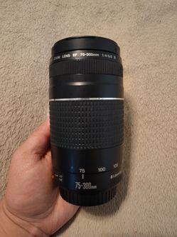 Canon EF 75-300mm 1:4-5.6 III
