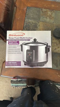 Deep Fryer Brand New