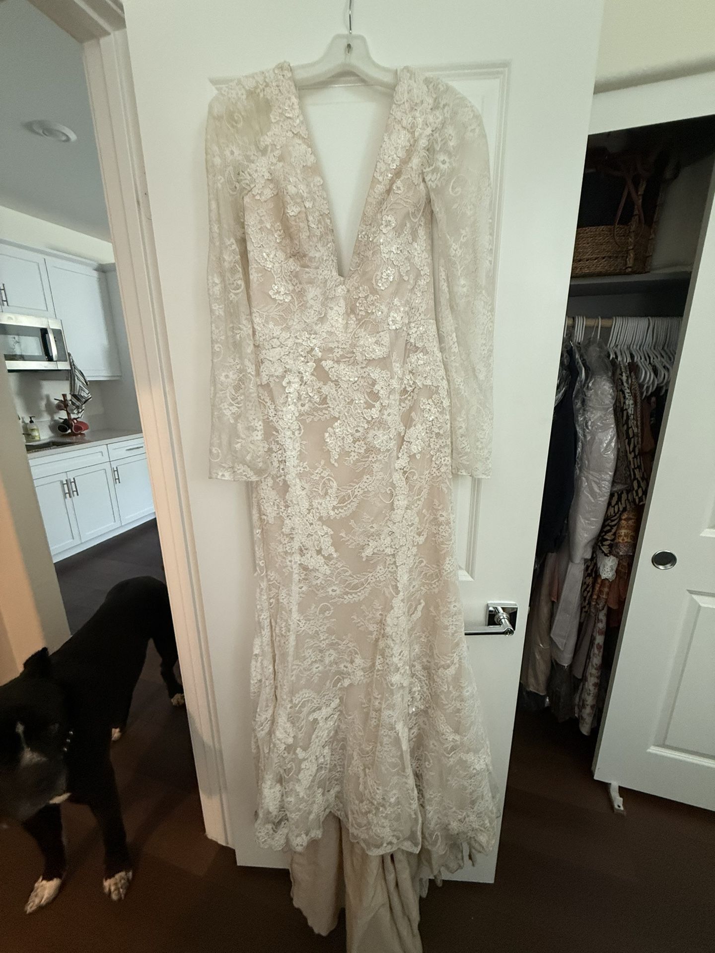 Wedding Dress & Veil