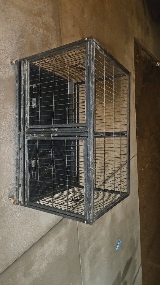 Dog Kennel 