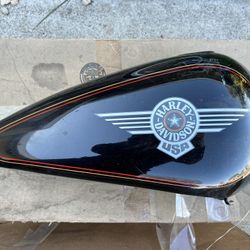 1995 Harley Davidson FLSTF