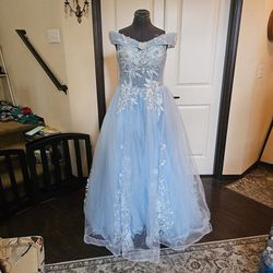 Prom Gown/Quinceanera Dress, New