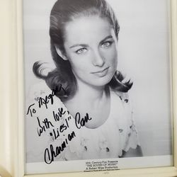 8x10? Framed Picture