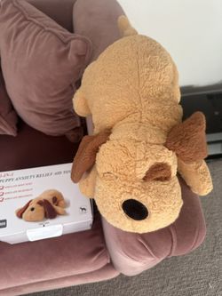 Heartbeat Warming Snuggle Puppy
