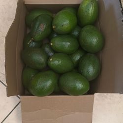 Aguacates 