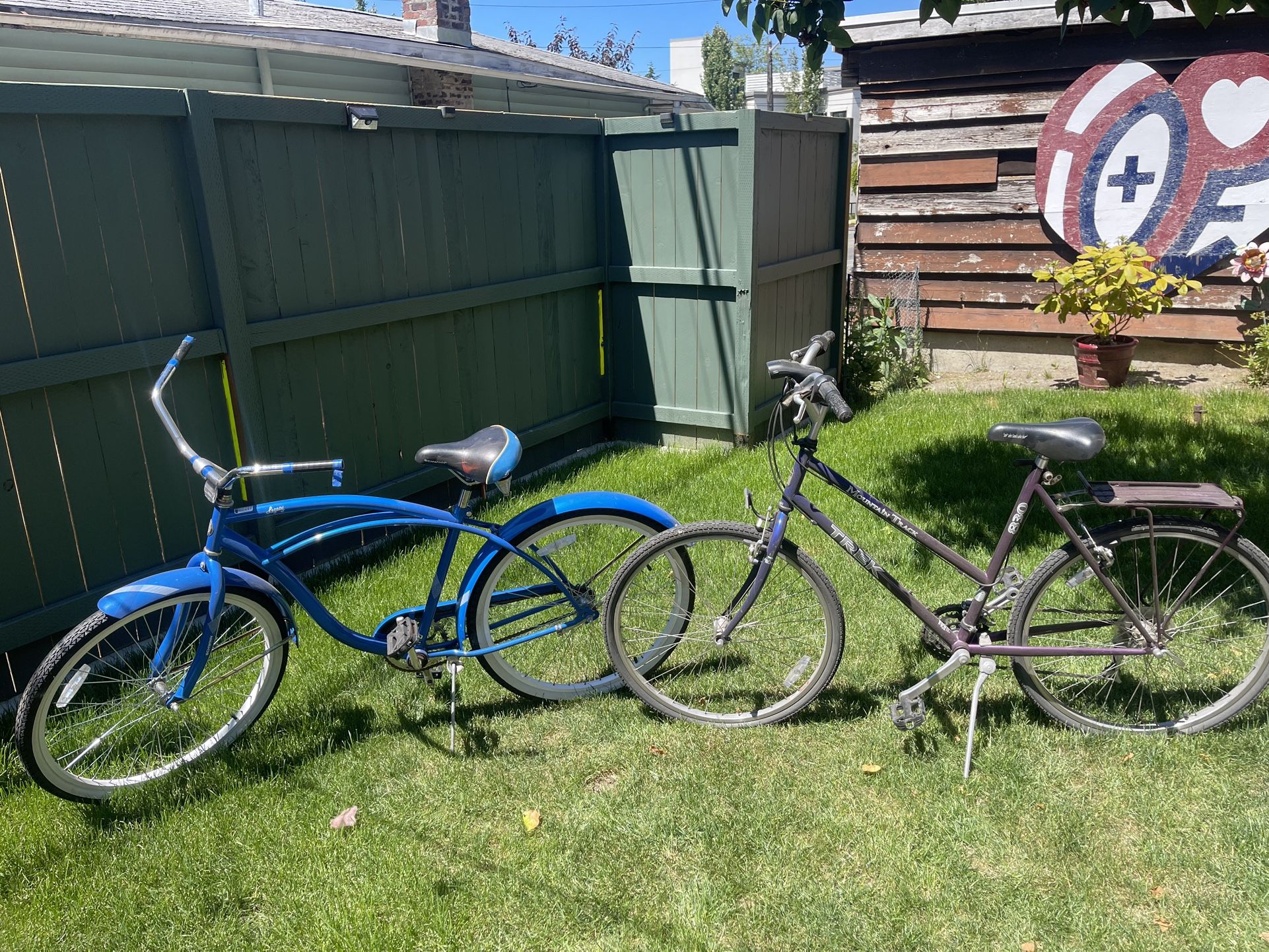 2 Bikes 1 Is A Schwinn The Other Is A Mountain Trek.