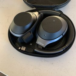 Sony Digital Wireless Headphone