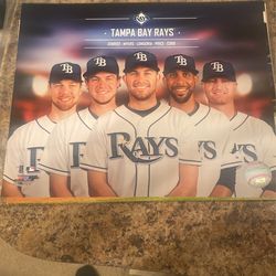Tampa Bay Rays Pics 