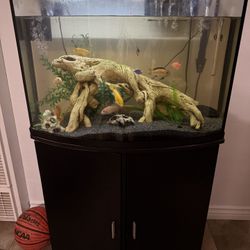 Aquarium 