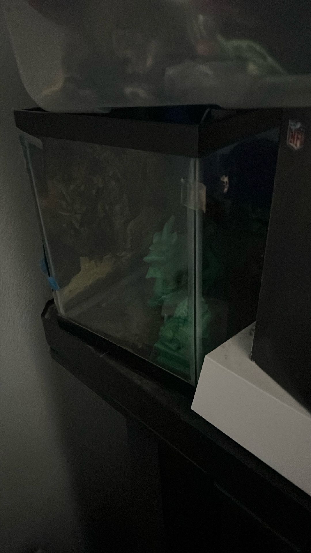 Fish Tank