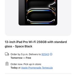 13-inch iPad Pro Wi‑Fi 256GB