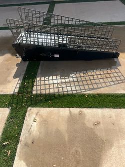 jog a dog treadmill